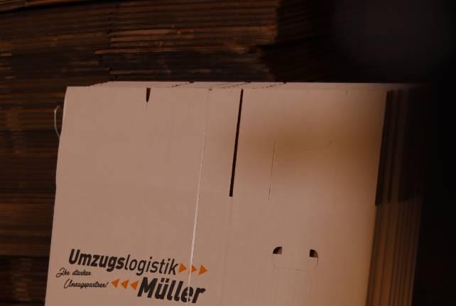 Günstiger Behördenumzug Jesewitz