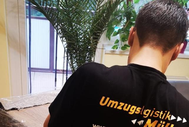 Preise für Ihren Studentenumzug in Jesewitz